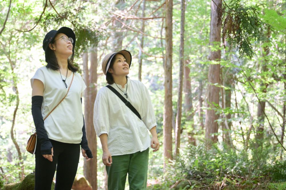 木曽「阿寺渓谷」をめぐる大満足の女子旅!癒しの絶景とおすすめ紹介|Skima信州コラボ記事